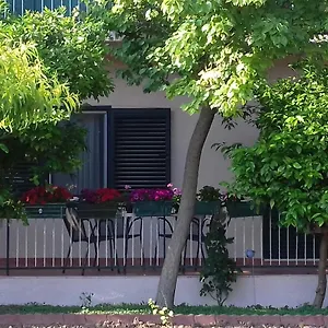 jordan.hotels-in-trogir.com/